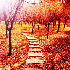 蜜桃AV亚洲第一区二区
